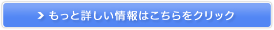 yyRb`zsȂsHXlTCg̔TCg